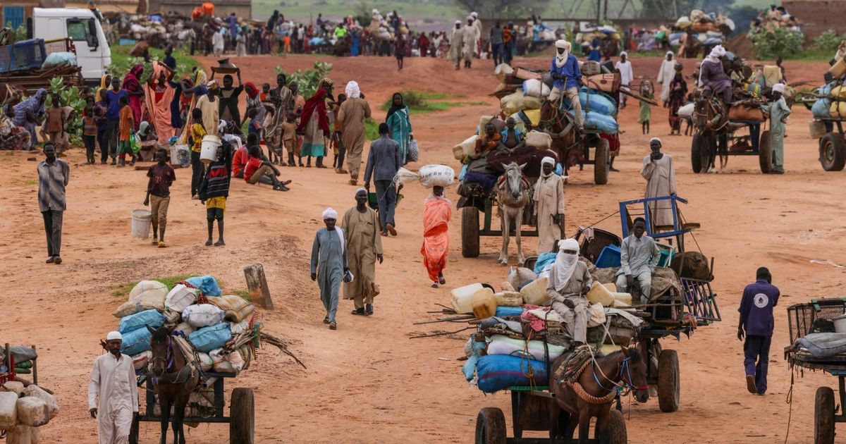 Darfur's Silent Tragedy: A Struggle for Survival Amid War, Hunger, and Mass Displacement
