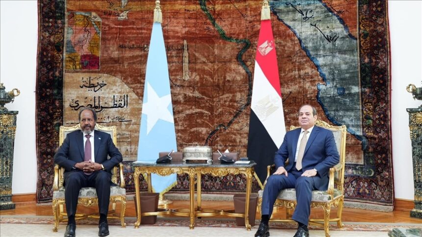 Egypt to Play a Key Role in New African Union Mission in Somalia, Foreign Minister Confirms