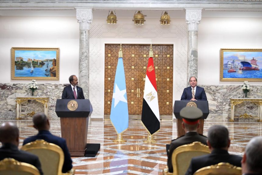 El-Sisi Reaffirms Egypt's Support for Somalia's Stability