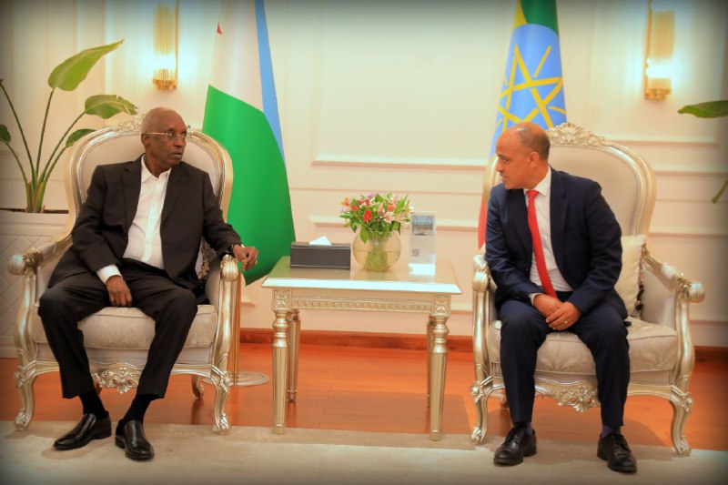 Ethiopia, Djibouti Form Joint Task Force to Tackle Cross-Border Security Threats