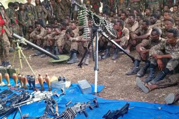 Oromo Liberation Army Claims Killing Over 250 Ethiopian Soldiers 60 kilometres from Ethiopia’s capital Addis Ababa