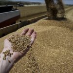 Russia Plans Major Increase in Grain & Fertilizer Exports to Nigeria