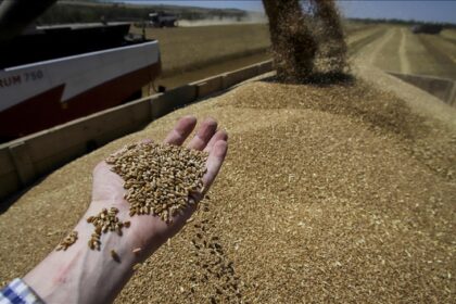 Russia Plans Major Increase in Grain & Fertilizer Exports to Nigeria