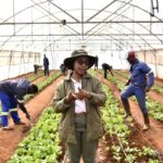 South African Project Empowers Deaf Community Through Farming and Employment