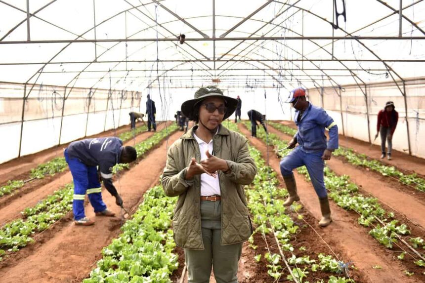 South African Project Empowers Deaf Community Through Farming and Employment