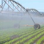 Zimbabwe Secures Nine Investment Deals to Expand Irrigation & Combat Food Insecurity