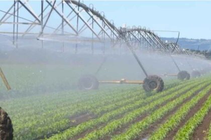 Zimbabwe Secures Nine Investment Deals to Expand Irrigation & Combat Food Insecurity