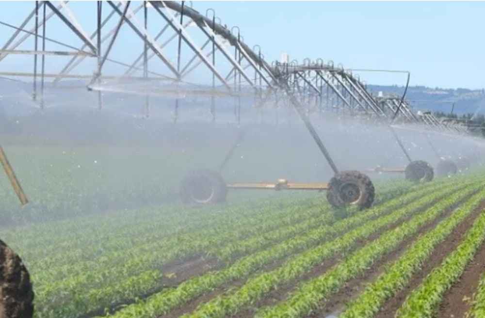 Zimbabwe Secures Nine Investment Deals to Expand Irrigation & Combat Food Insecurity