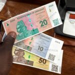 Zimbabwe to Rename Provinces, Introduce Gold-Backed Currency for Economic Independence