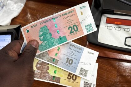 Zimbabwe to Rename Provinces, Introduce Gold-Backed Currency for Economic Independence