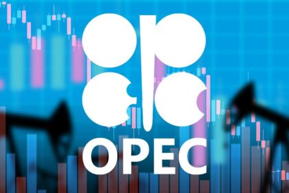Dangote Refinery Reduces Nigeria's Dependence on European Petroleum Imports, OPEC Reports