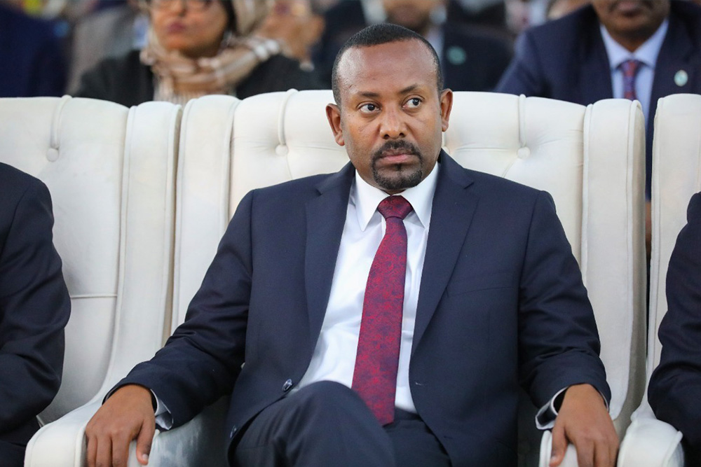 Ethiopian Prime Minister’s Plane Metaphor Ignites Controversy Over National Turmoil