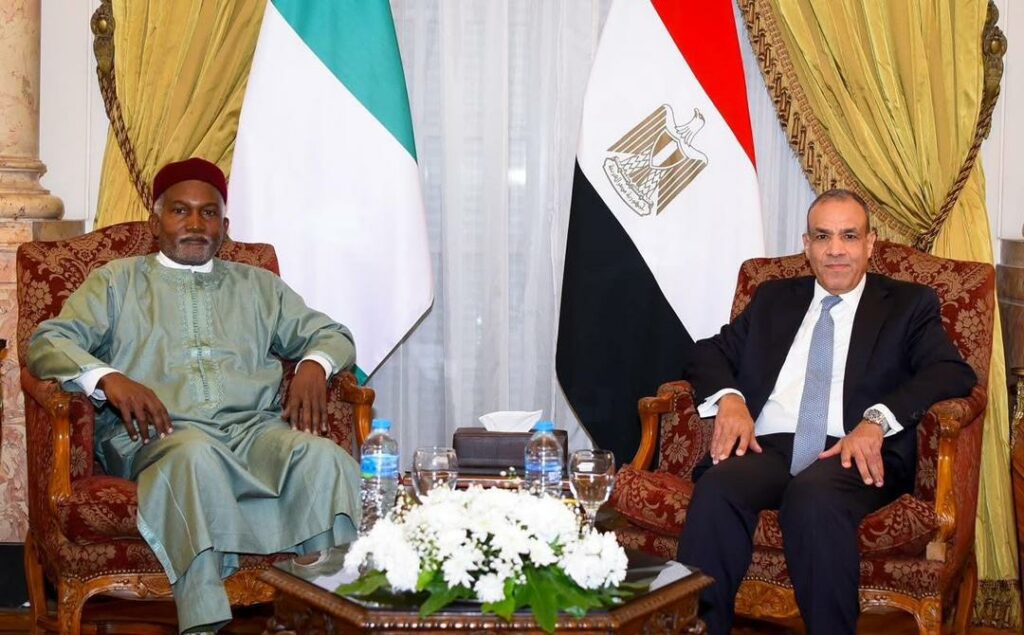 Nigeria, Egypt Forge Comprehensive Partnership to Boost Trade, Security, and Cooperation