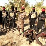 Nigerian Military Neutralizes 34 ISWAP Militants in Major Operation in Borno State