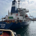 Russia Ships First 27,000-Tonne Wheat Export to Togo, Boosting African Trade