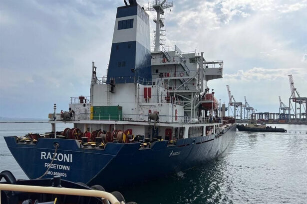 Russia Ships First 27,000-Tonne Wheat Export to Togo, Boosting African Trade