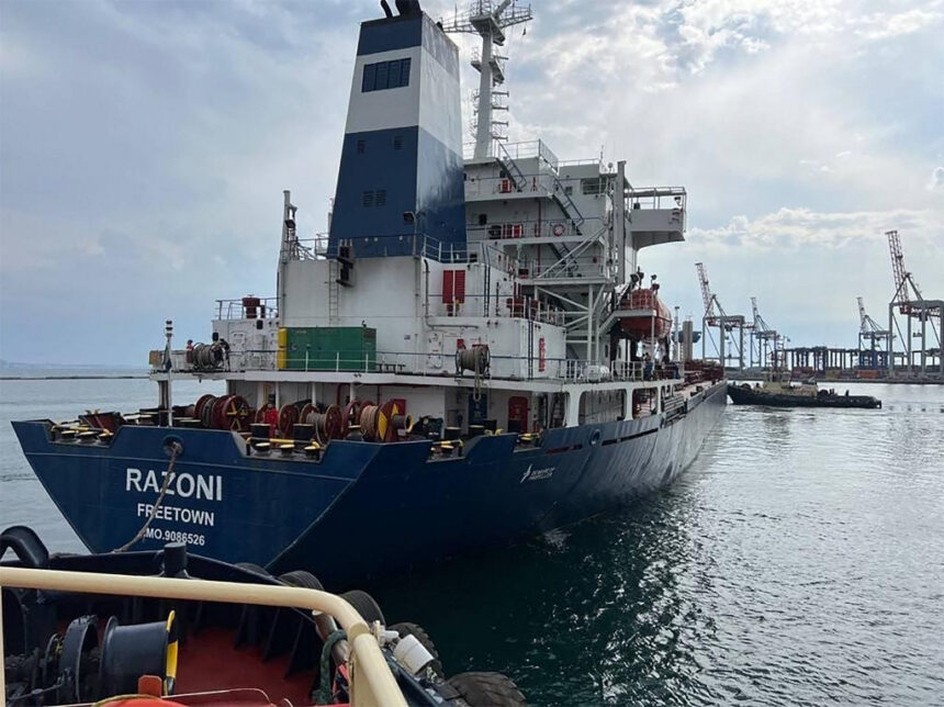 Russia Ships First 27,000-Tonne Wheat Export to Togo, Boosting African Trade