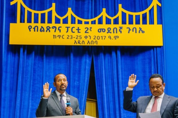 Abiy Ahmed Re-elected as President of Ethiopia's Prosperity Party