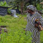 Côte d’Ivoire - One year on: Evicted Gesco Rivière farmers must be compensated for devastating loss of livelihoods