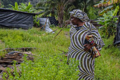 Côte d’Ivoire - One year on: Evicted Gesco Rivière farmers must be compensated for devastating loss of livelihoods