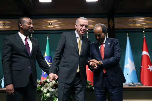 Ethiopia and Somalia Initiate Talks to Resolve Somaliland Dispute