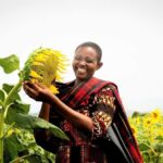 Tanzanian sunflowers blossom into new products