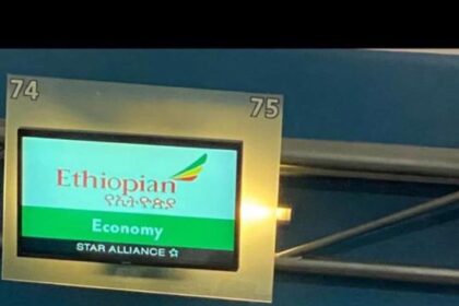 Lidetu Ayalew, Opposition Figure, Claims Ethiopian Airlines Denied Him Return to Ethiopia