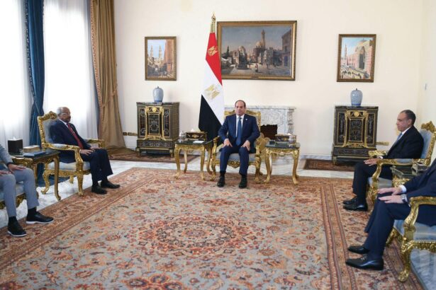 Egypt's El-Sisi Meets Eritrean Foreign Minister, Discusses Regional Stability