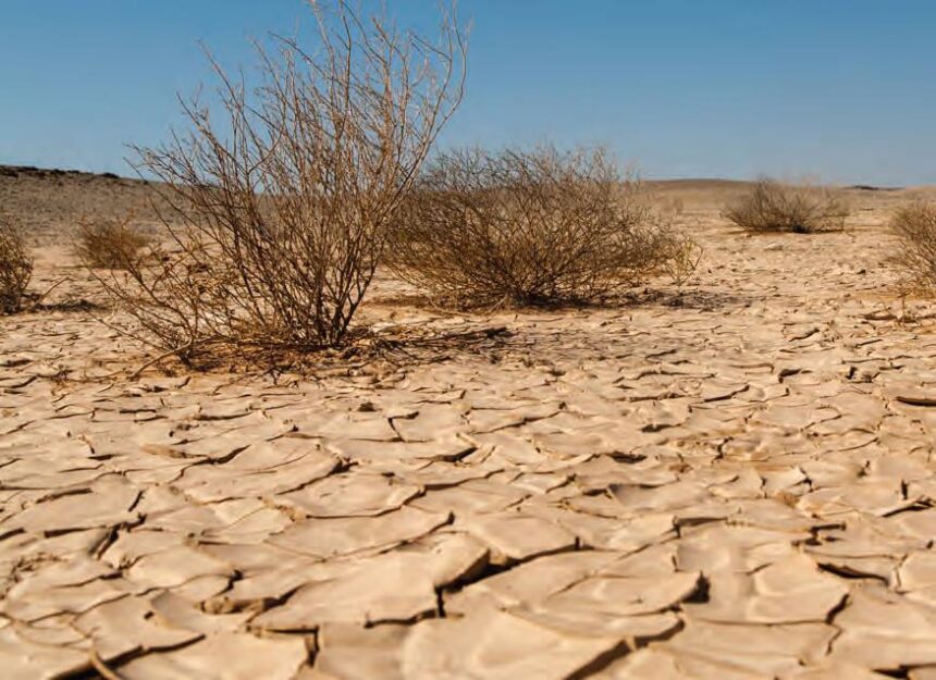 Namibia’s Drought Fuels Human-Wildlife Conflict, Threatens Livelihoods