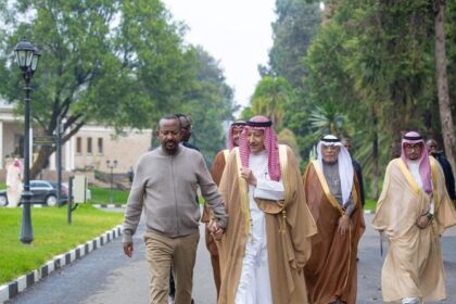 Saudi Deputy FM Visits Ethiopia to Boost Ties Amid Regional Tensions