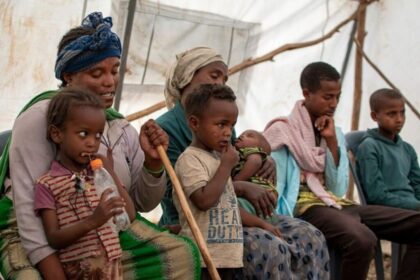 Amhara IDPs Endure Severe Shelter Crisis Amid Prolonged Displacement