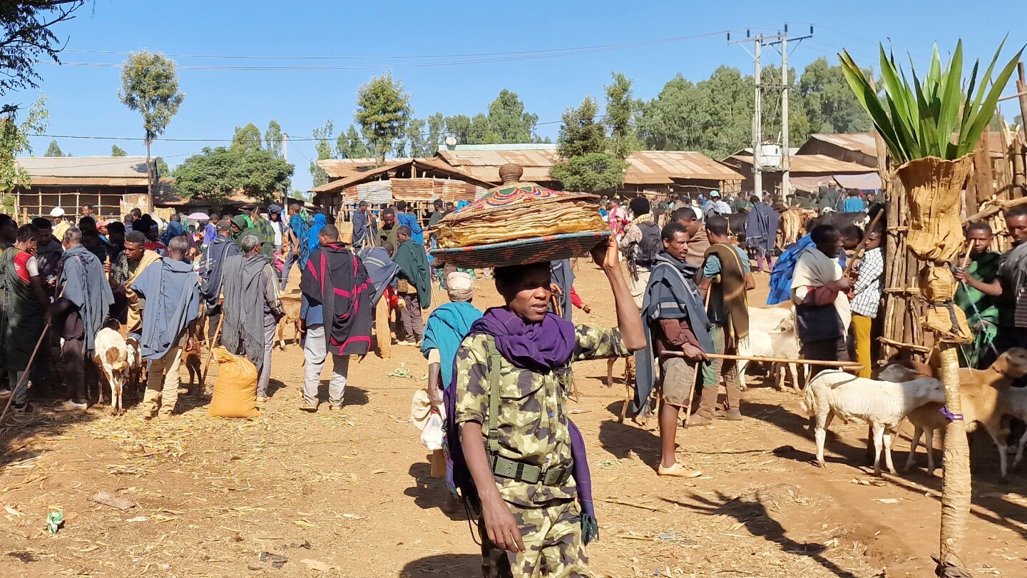 Amhara’s War Enters Second Year: Region Gripped by Conflict, Collapse & Crisis