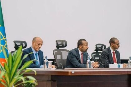 Ethiopian Government Allocates $1.6 Billion in Subsidies, Reports Strong Economic Growth
