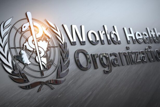 Race Heats Up for WHO Africa Chief as Top Health Experts Compete