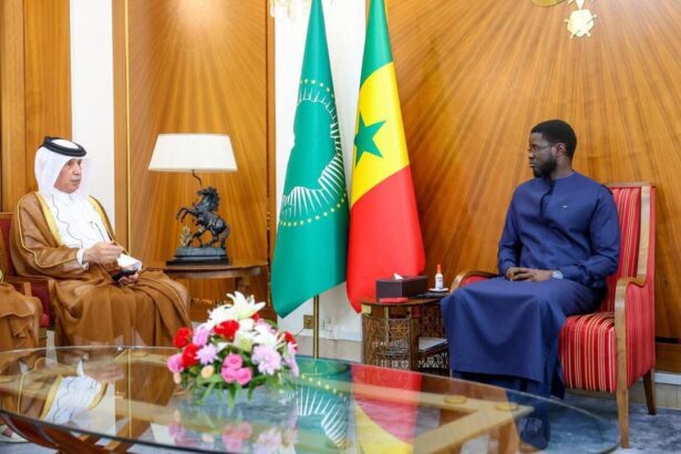 Senegalese President Holds Talks with Senior Qatari Official