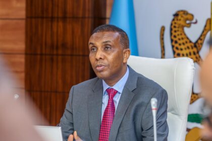 Somali PM Makes Cabinet Changes, Appoints New Defense Minister Again in Less Than Two Months