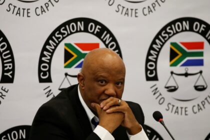 South Africa Appoints Mcebisi Jonas as Special Envoy to the US