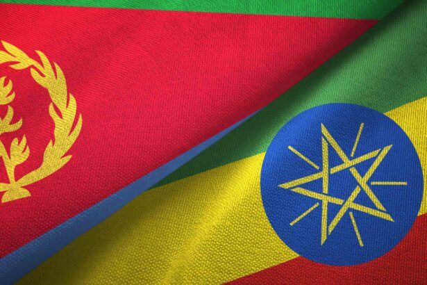 Ethiopia’s Port Ambitions Raise Eritrean Fears: Will Assab Become a New Flashpoint?