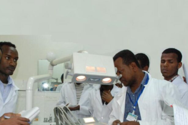 Ethiopian Health Workers Defy Government Warning, Threaten Indefinite Strike