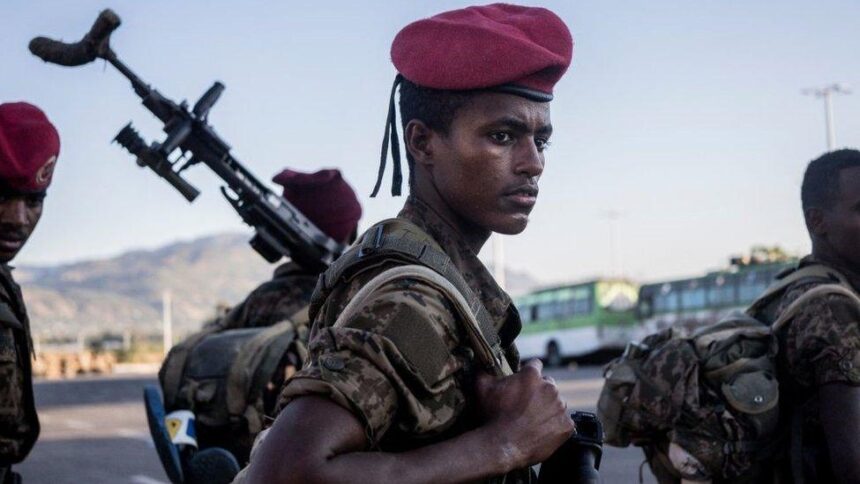 Ethiopian government conducting unlawful conscription- Amhara Association of America