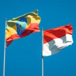Indonesia, Ethiopia Look to Strengthen Economic Ties, BRICS Cooperation