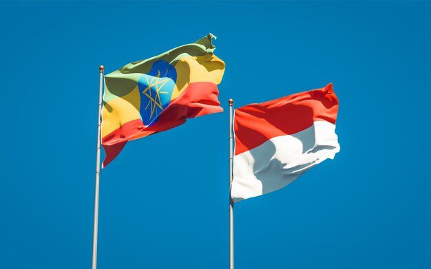 Indonesia, Ethiopia Look to Strengthen Economic Ties, BRICS Cooperation