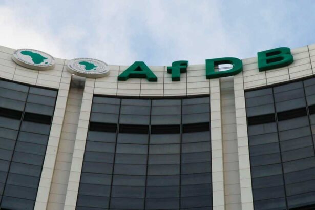 AfDB at 60: Time to reclaim the zeal of its visionary reformers