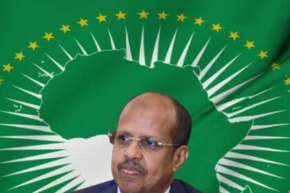 African Union welcomes France's plan to recognise Palestinian state