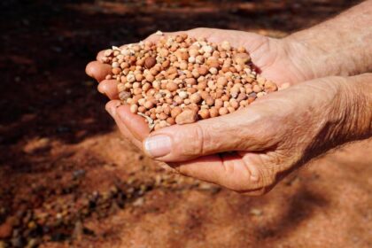 Guinea's bauxite exports hit record 48 million tonnes in Q1 2025 despite regulatory curbs
