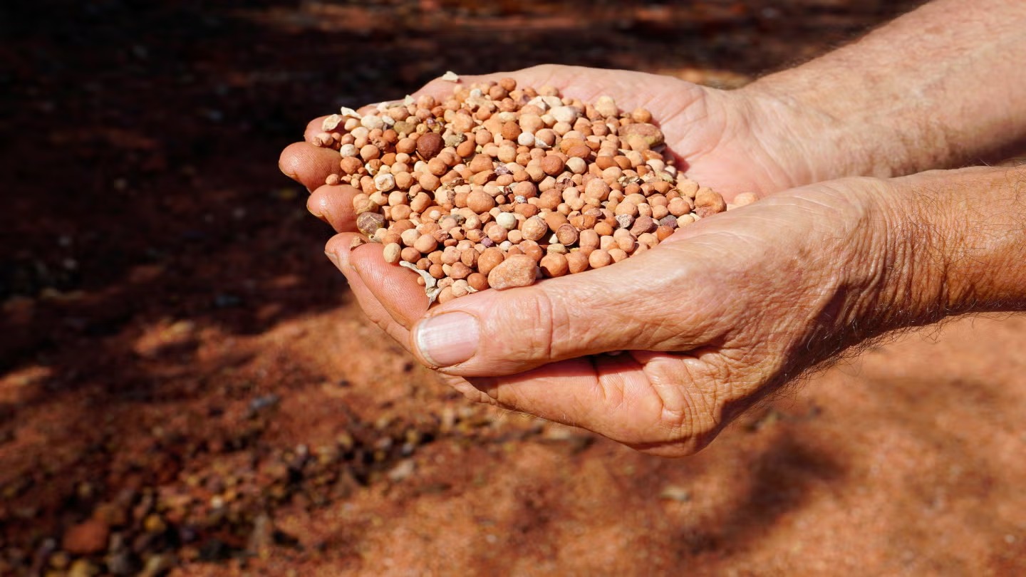 Guinea's bauxite exports hit record 48 million tonnes in Q1 2025 despite regulatory curbs