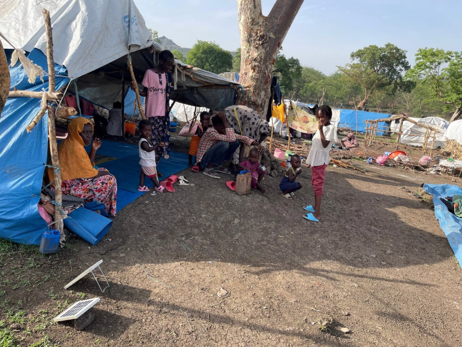 AFNF Denies Role in Killing of Aid Worker, Urges International Probe into Violence in Ethiopia’s Amhara Region