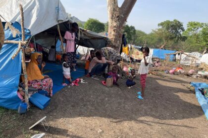 AFNF Denies Role in Killing of Aid Worker, Urges International Probe into Violence in Ethiopia’s Amhara Region