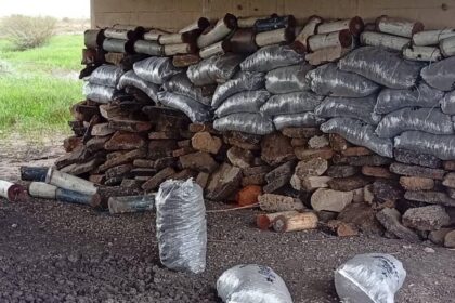 Nigerian Army Discovers and Neutralizes 56 Explosive Devices Beneath Strategic Bridge in Borno