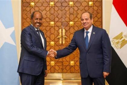 Somalia and Egypt Eye Strategic Alliance Amid Rising Regional Uncertainty
